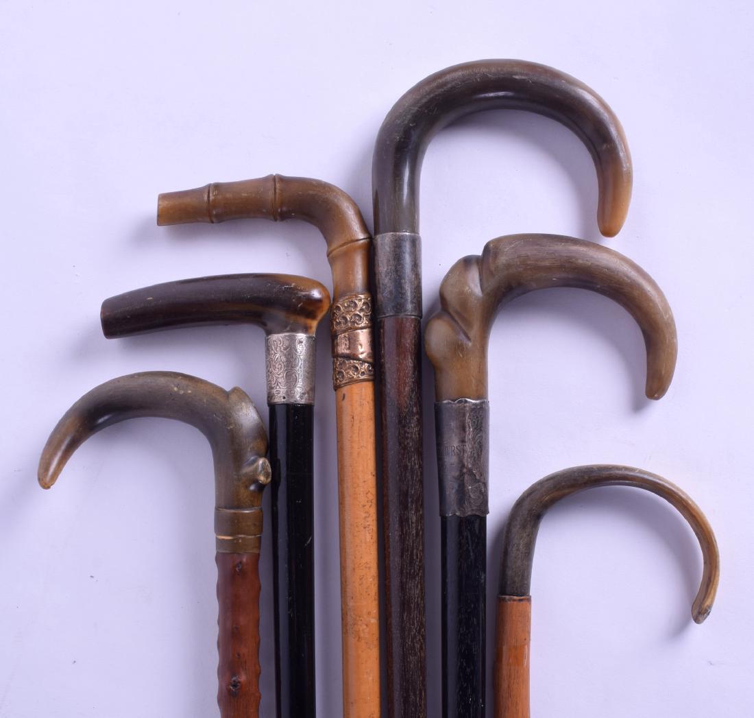 A GROUP OF SIX LATE VICTORIAN/EDWARDIAN HORN HANDLED: A GROUP OF SIX LATE VICTORIAN/EDWARDIAN HORN HANDLED CANES. Largest 88 cm long. (6)
