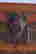 item-58647201=2