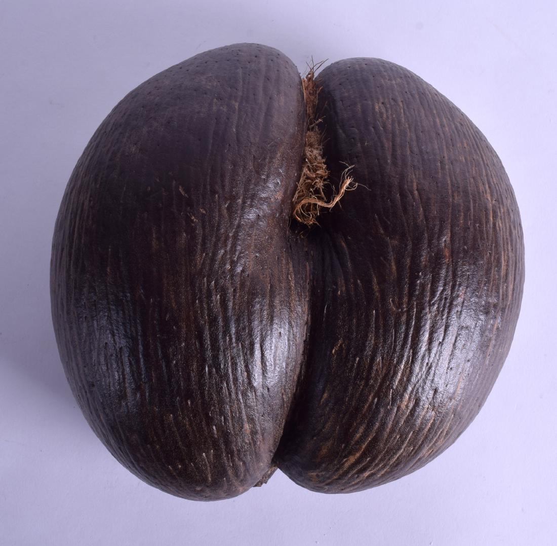 A 19TH CENTURY CARVED COCO DE MER NUT of naturalistic (1 of 2)