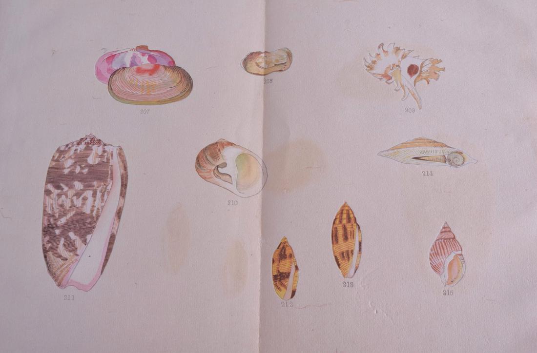 A LOVELY SET OF THREE EARLY 20TH CENTURY JAPANESE MEIJI (1 of 4)