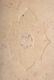 C Cornell II Opera, Large Vellum bound, Ivsto Lipsio, - 4