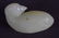 A FINE 19TH CENTURY CHINESE CARVED WHITE JADE FIGURE OF - 4