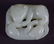 AN EARLY 20TH CENTURY CHINESE CARVED GREENISH WHITE