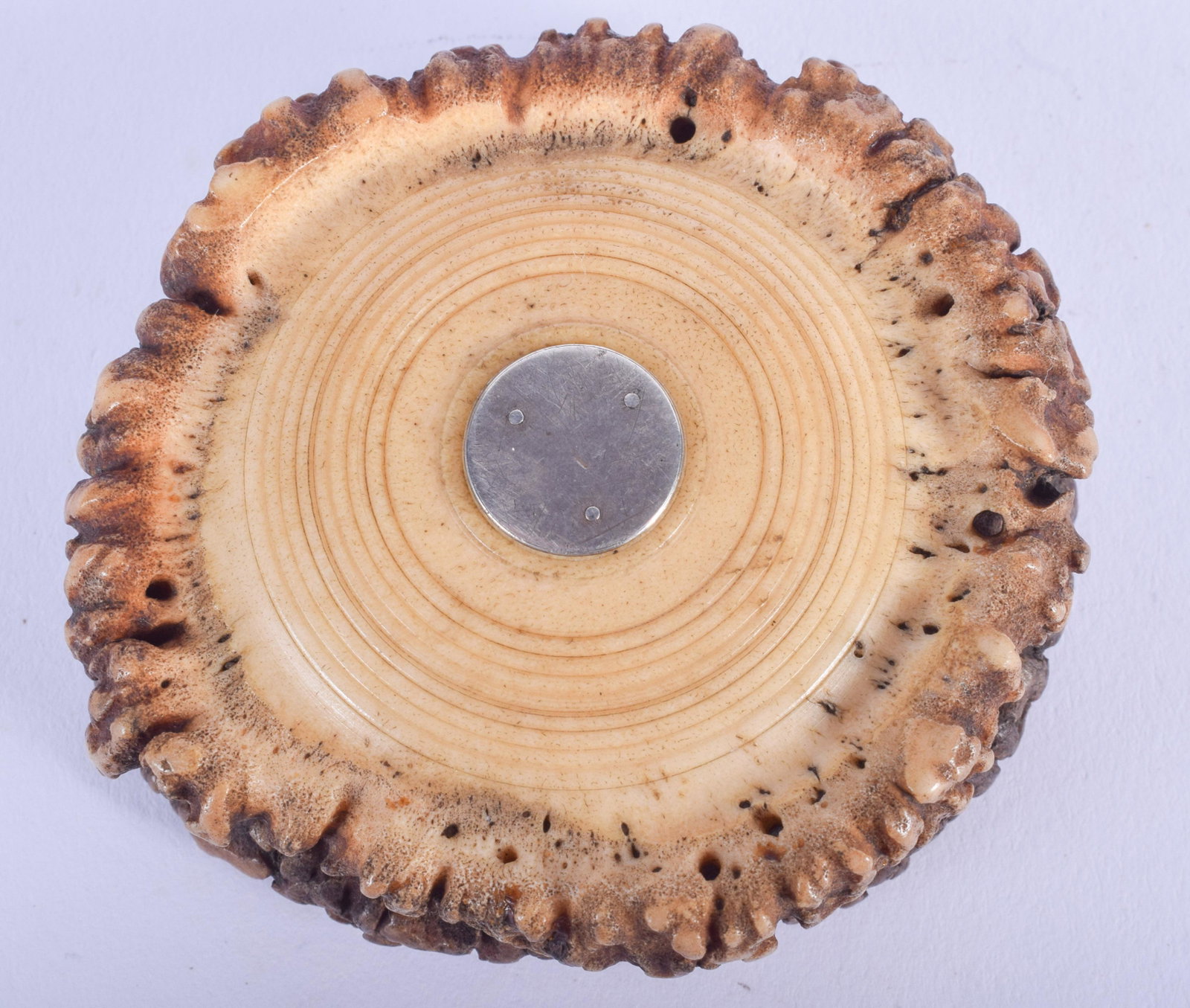 AN EARLY VICTORIAN STAG ANTLER HORN SNUFF BOX. 6.5 cm: AN EARLY VICTORIAN STAG ANTLER HORN SNUFF BOX. 6.5 cm wide.