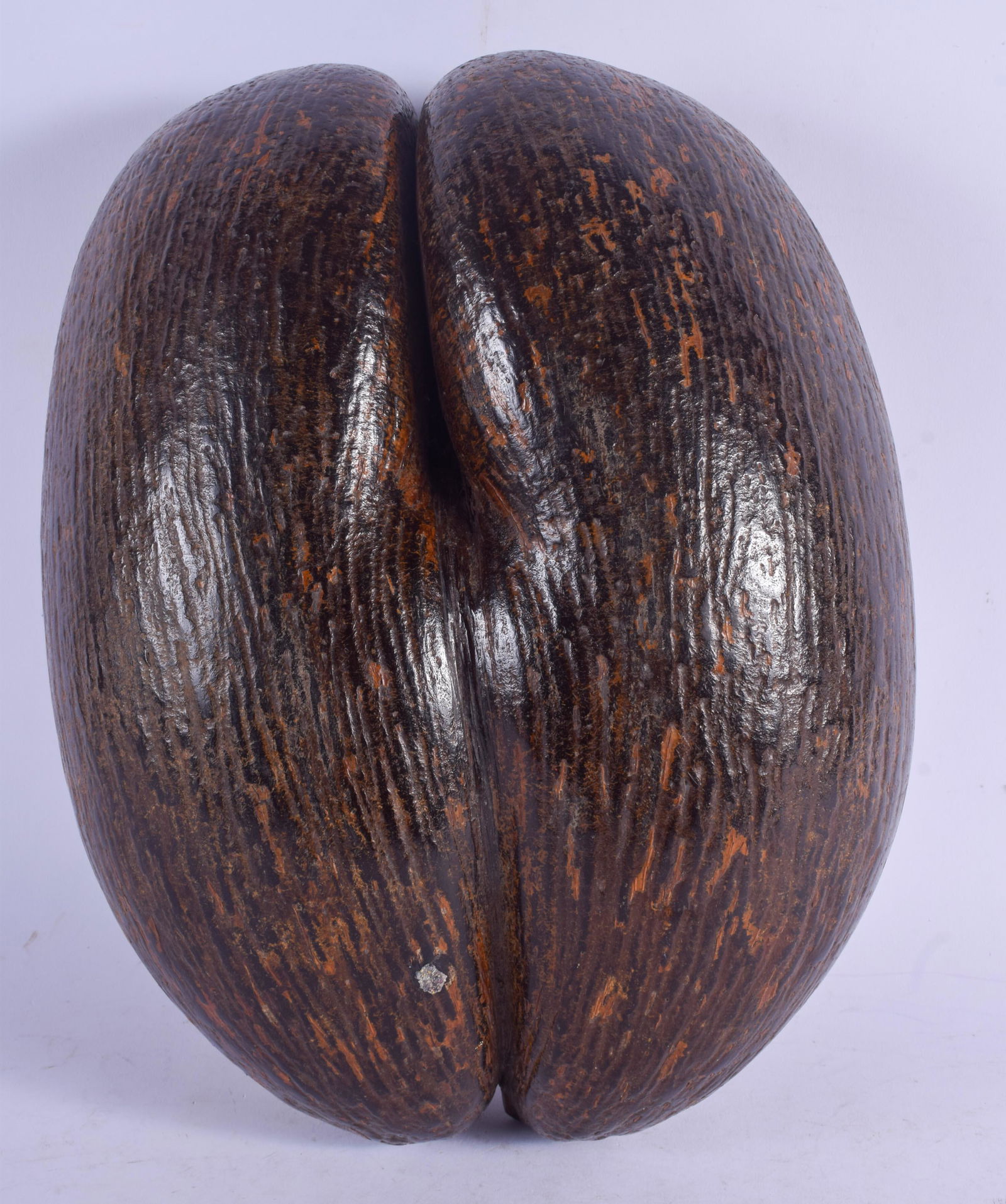 A 19TH CENTURY CONTINENTAL CARVED COCO DE MER NUT of (1 of 4)