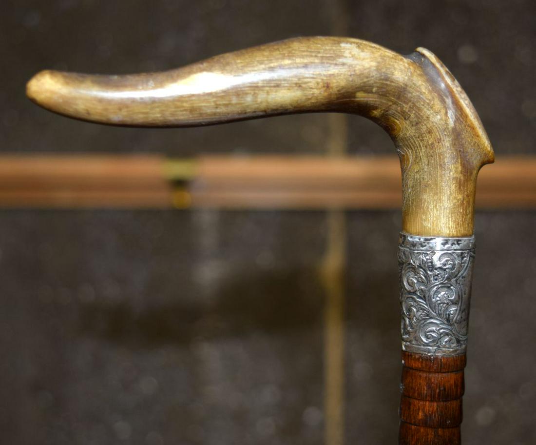 A 19TH CENTURY CONTINENTAL CARVED BUFFALO HORN WALKING: A 19TH CENTURY CONTINENTAL CARVED BUFFALO HORN WALKING CANE with silver mounts. 88 cm long.