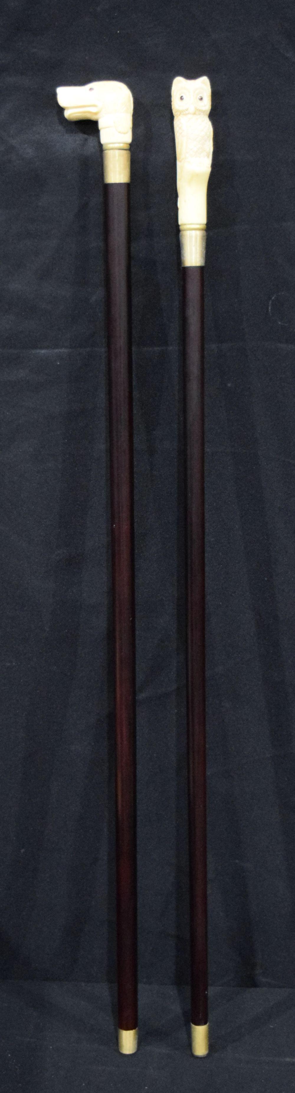 A walking cane with a bone handle in the form of an Owl: A walking cane with a bone handle in the form of an Owl together with a dog head cane 90cm. (2)