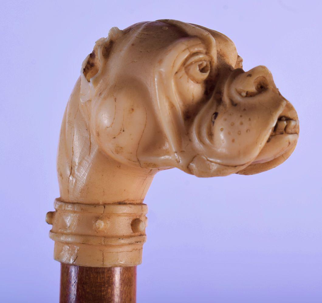 A 19TH CENTURY CONTINENTAL CARVED DOG HEAD WALKING CANE (1 of 4)