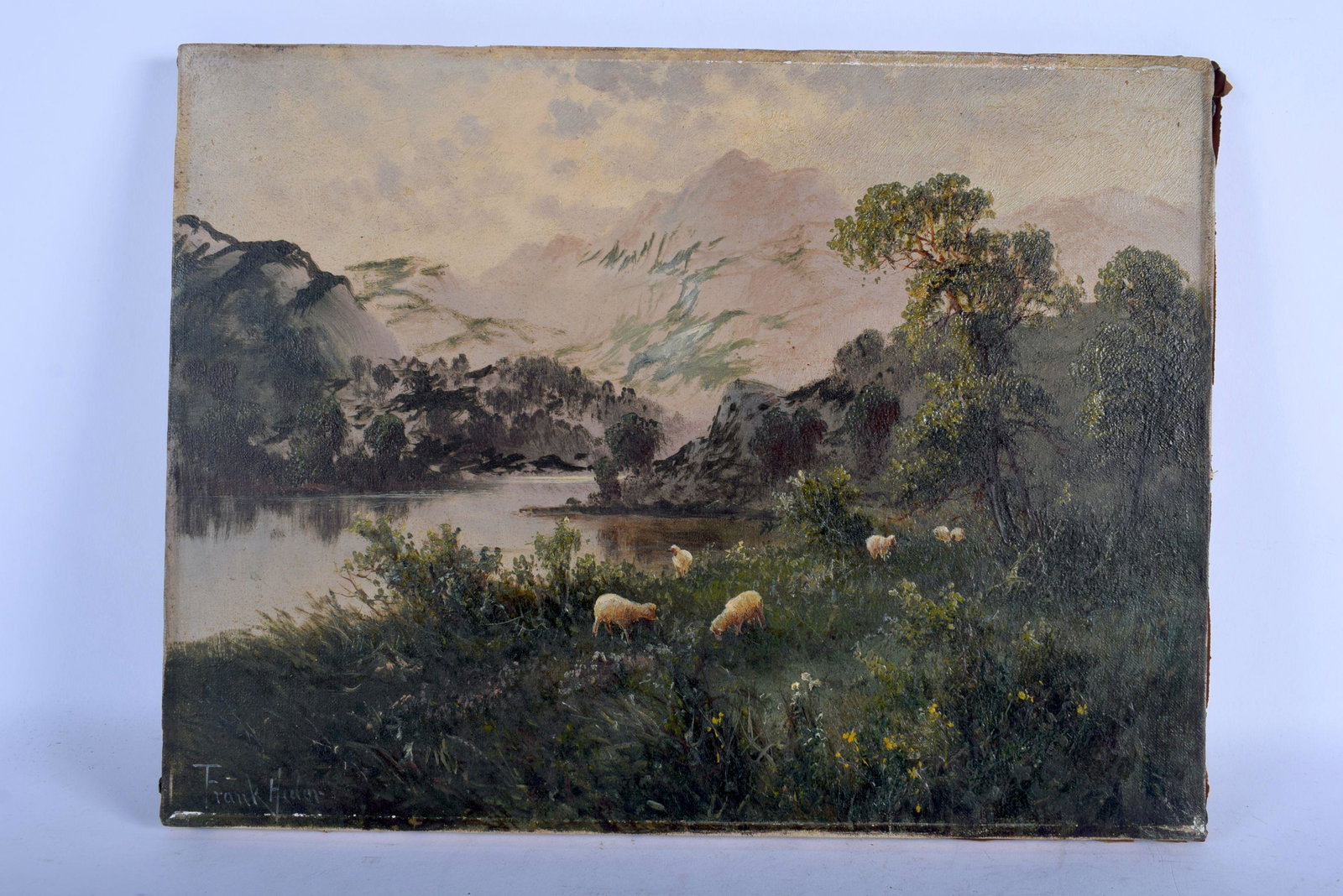 British School (19th Century) Oil on canvas, Mountain: British School (19th Century) Oil on canvas, Mountain sheep. 40 cm x 34 cm.