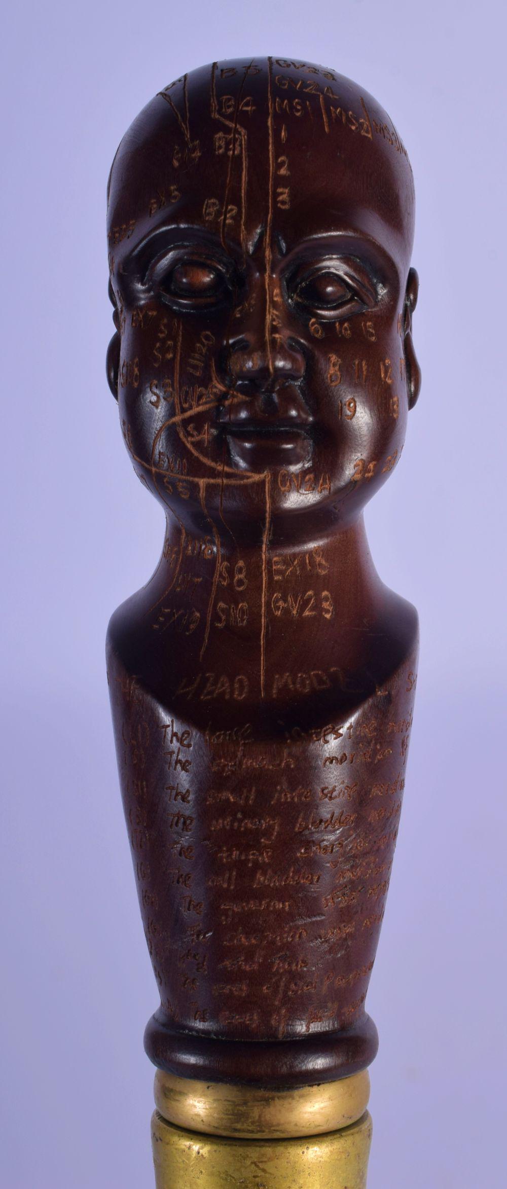 AN UNUSUAL PHRENOLOGY WALKING CANE. 90 cm long. (1 of 4)