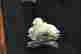 item-119529506=4