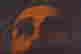 item-121490385=3
