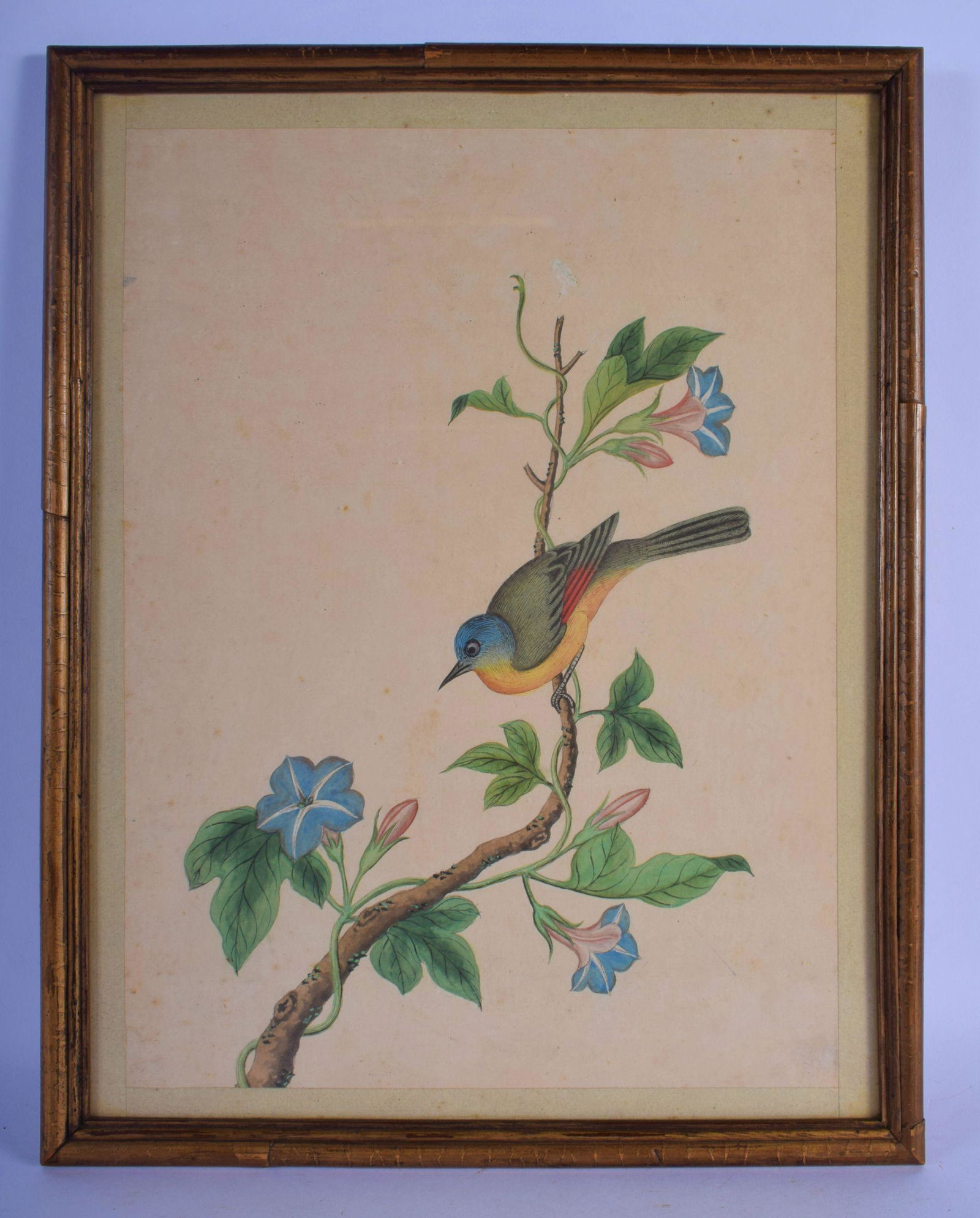 Indian School (C1900) Watercolour, Bird upon a branch. (1 of 3)