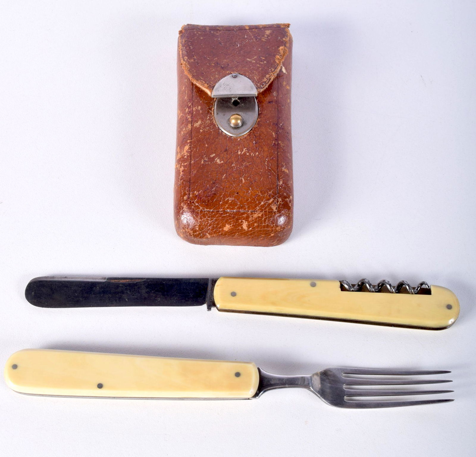 A leather cased campaign ivory handled  folding Walker (1 of 6)