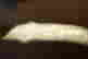 item-125774912=11