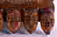 item-129204866=3