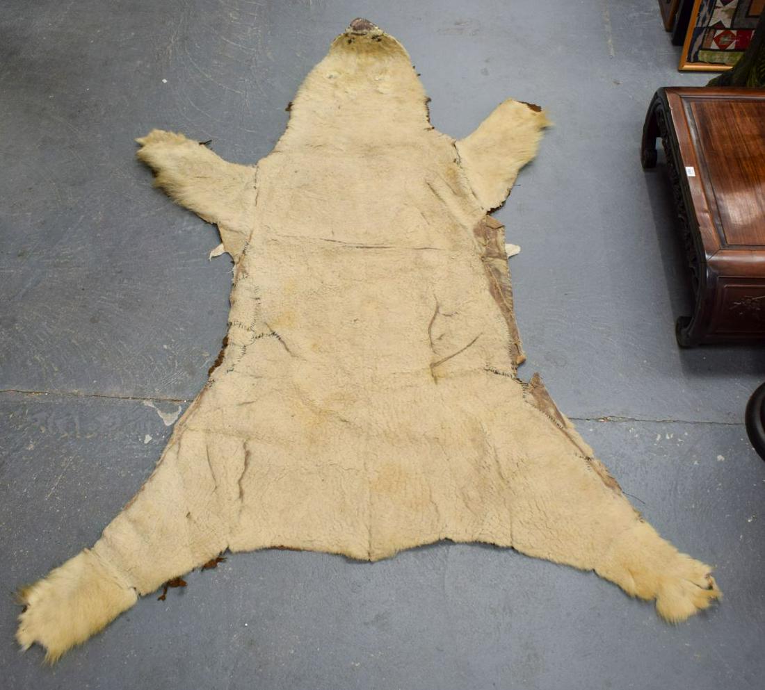 AN ANTIQUE POLAR BEAR SKIN RUG. 200 cm x 100 cm. (1 of 11)