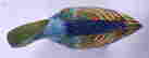 item-129206128=4