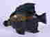 item-129206467=2