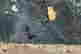 item-131964417=3