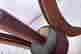 item-131967241=4