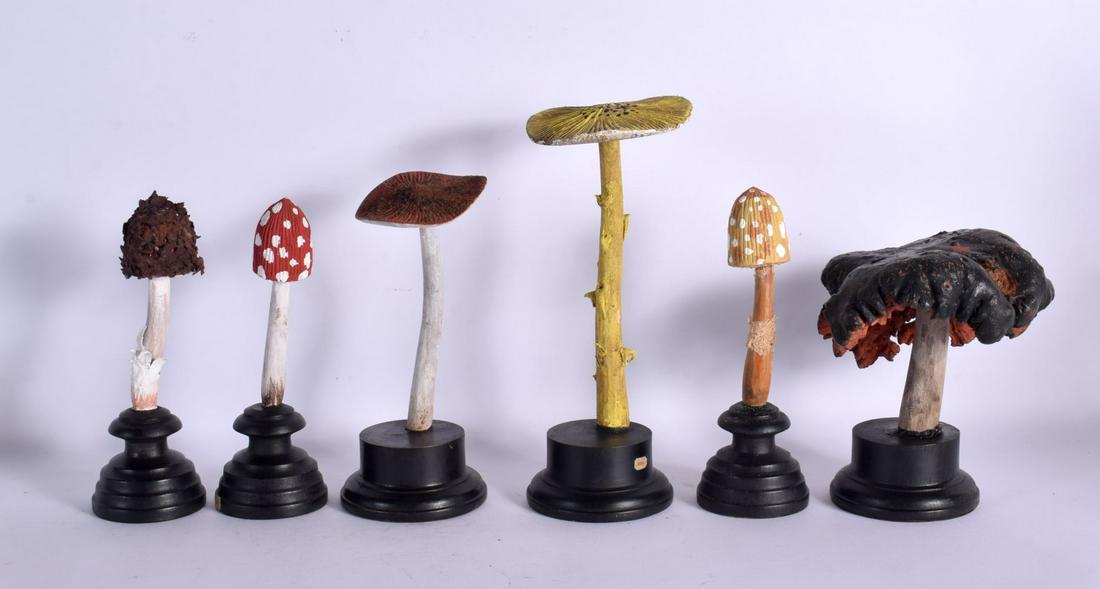 SIX VINTAGE MUSHROOM SPECIMENS Largest 25 cm high. (6) (1 of 2)
