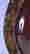 item-137267841=6