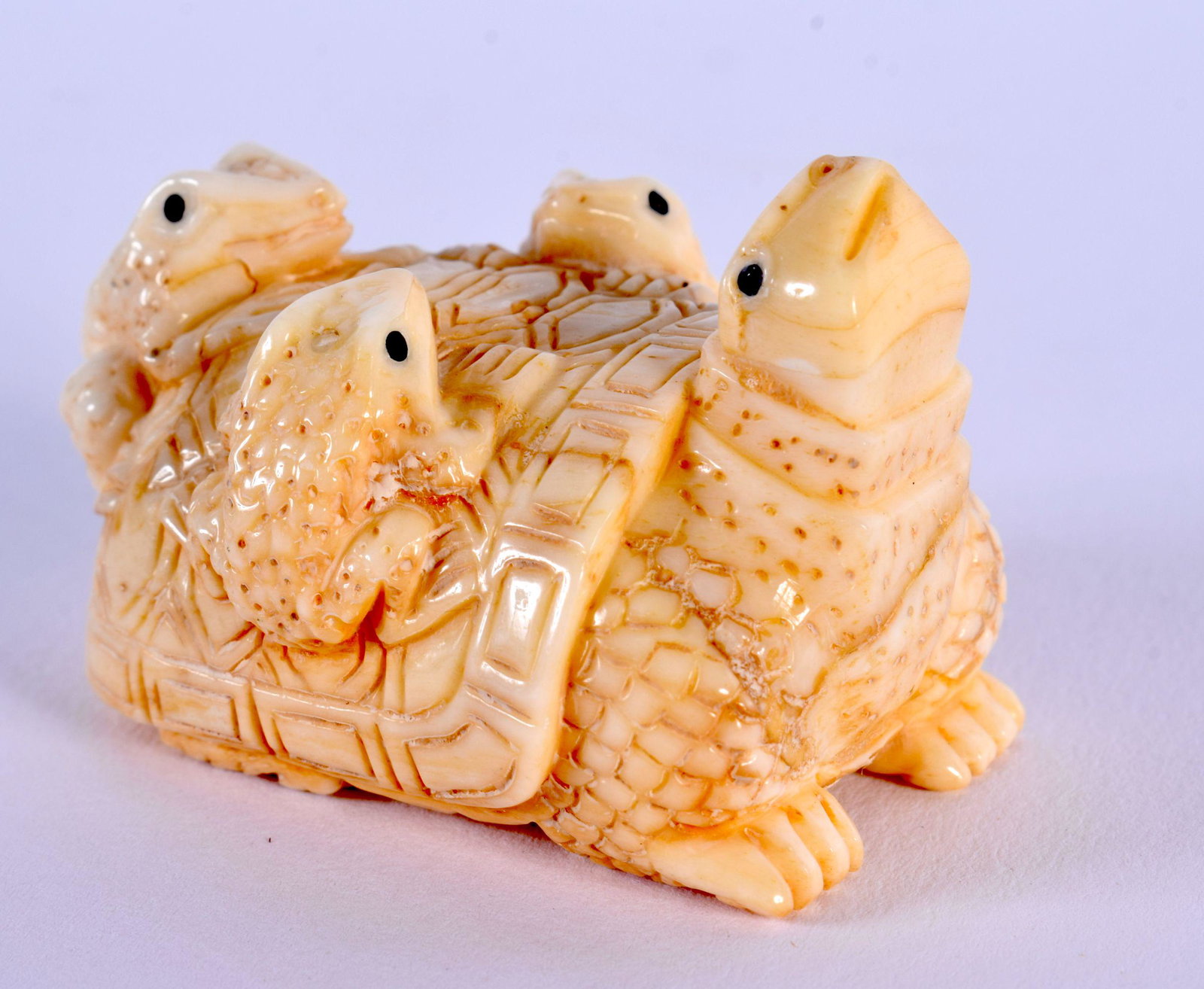 A JAPANESE CARVED BONE TORTOISE NETSUKE. 5 cm x 3 cm.: A JAPANESE CARVED BONE TORTOISE NETSUKE. 5 cm x 3 cm.