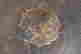 item-137347680=5