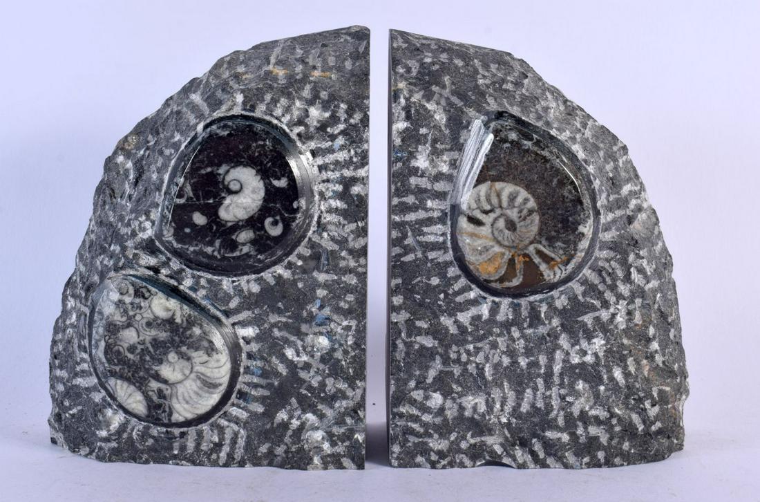 PAIR OF 400 MILLION YEAR OLD GONIATITE FOSSIL BOOK ENDS. 15 cm x 18 cm. (1 of 3)