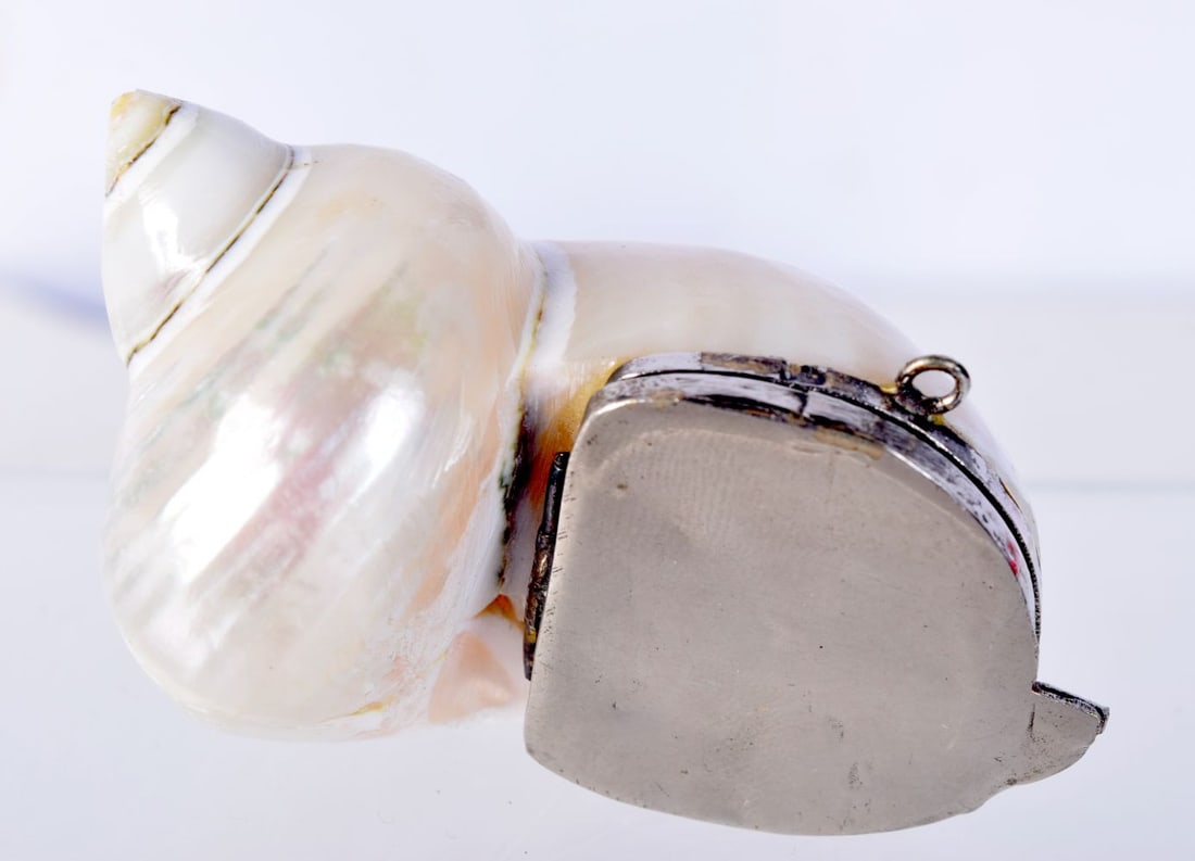 AN ANTIQUE CONCH SHELL SNUFF BOX. 7 cm x 4.25 cm. (1 of 3)