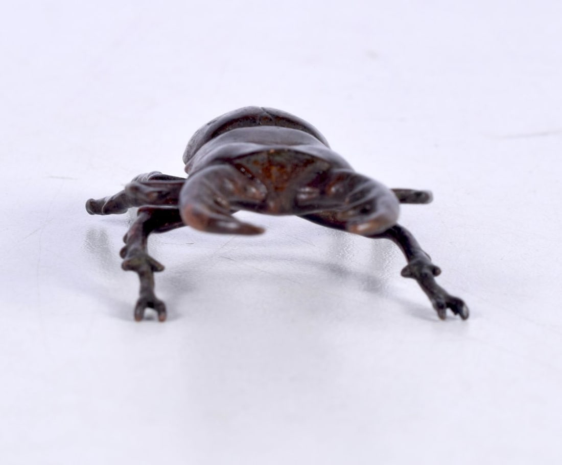A Japanese bronze beetle 6 cm.: A Japanese bronze beetle 6 cm.