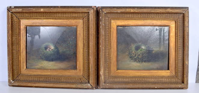 Tom Hold (19th Century British) Pair of Oil on board depicting birds nests 25 x 30 cm (2).: Tom Hold (19th Century British) Pair of Oil on board depicting birds nests 25 x 30 cm (2).