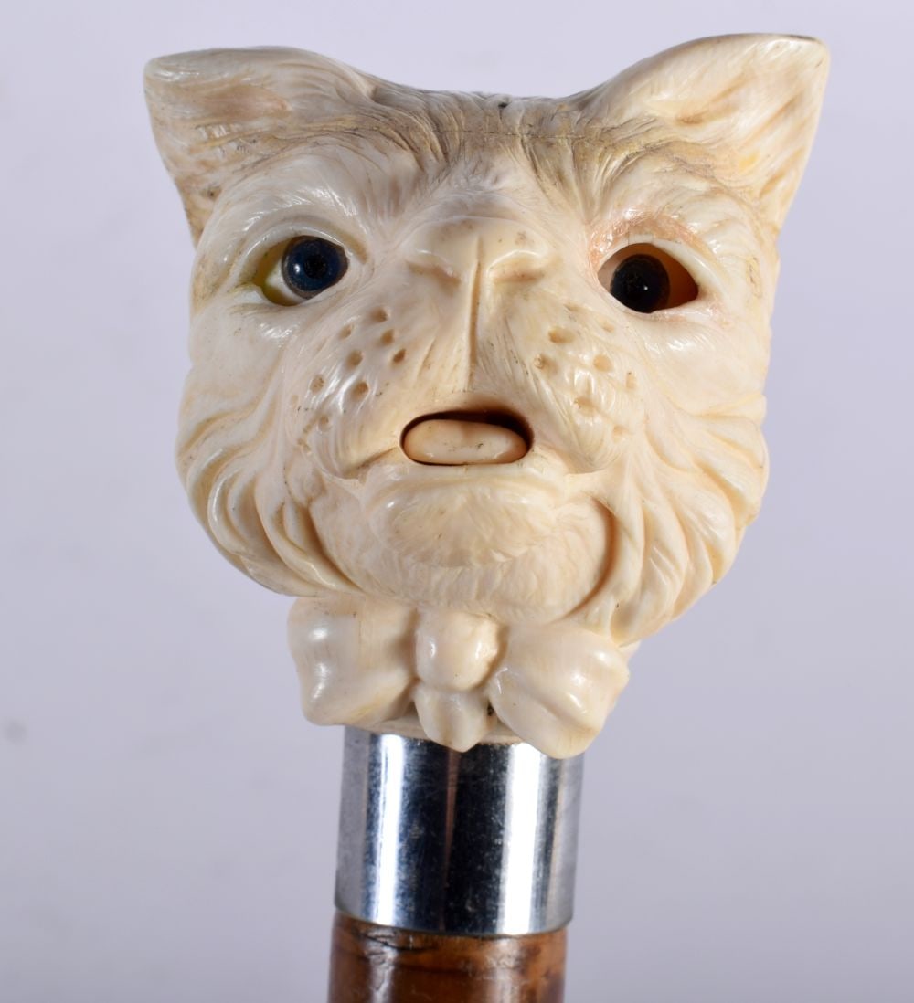 A Carved Bone Dog Head with Moving Eyes and Tongue Walking Cane. 92cm long: A Carved Bone Dog Head with Moving Eyes and Tongue Walking Cane. 92cm long