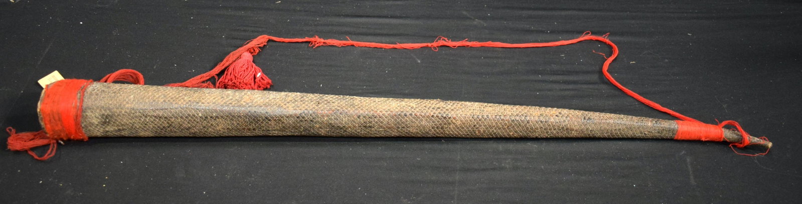 An antique Anaconda Tail 88 cm.: An antique Anaconda Tail 88 cm.
