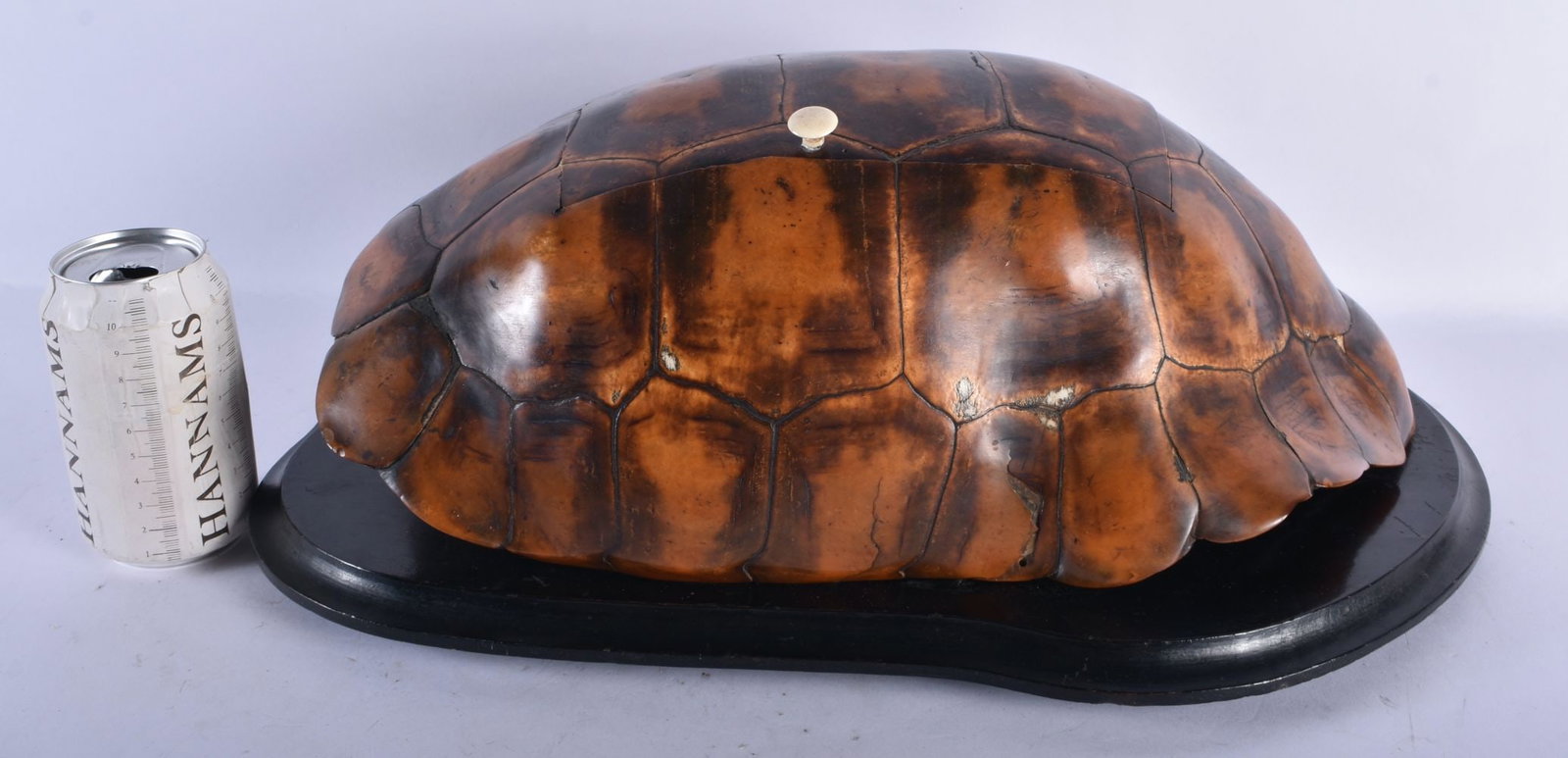 A LOVELY LATE VICTORIAN/EDWARDIAN GENTLEMAN'S COUNTRY HOUSE CIGAR HUMIDOR formed from an Antique tor (1 of 5)