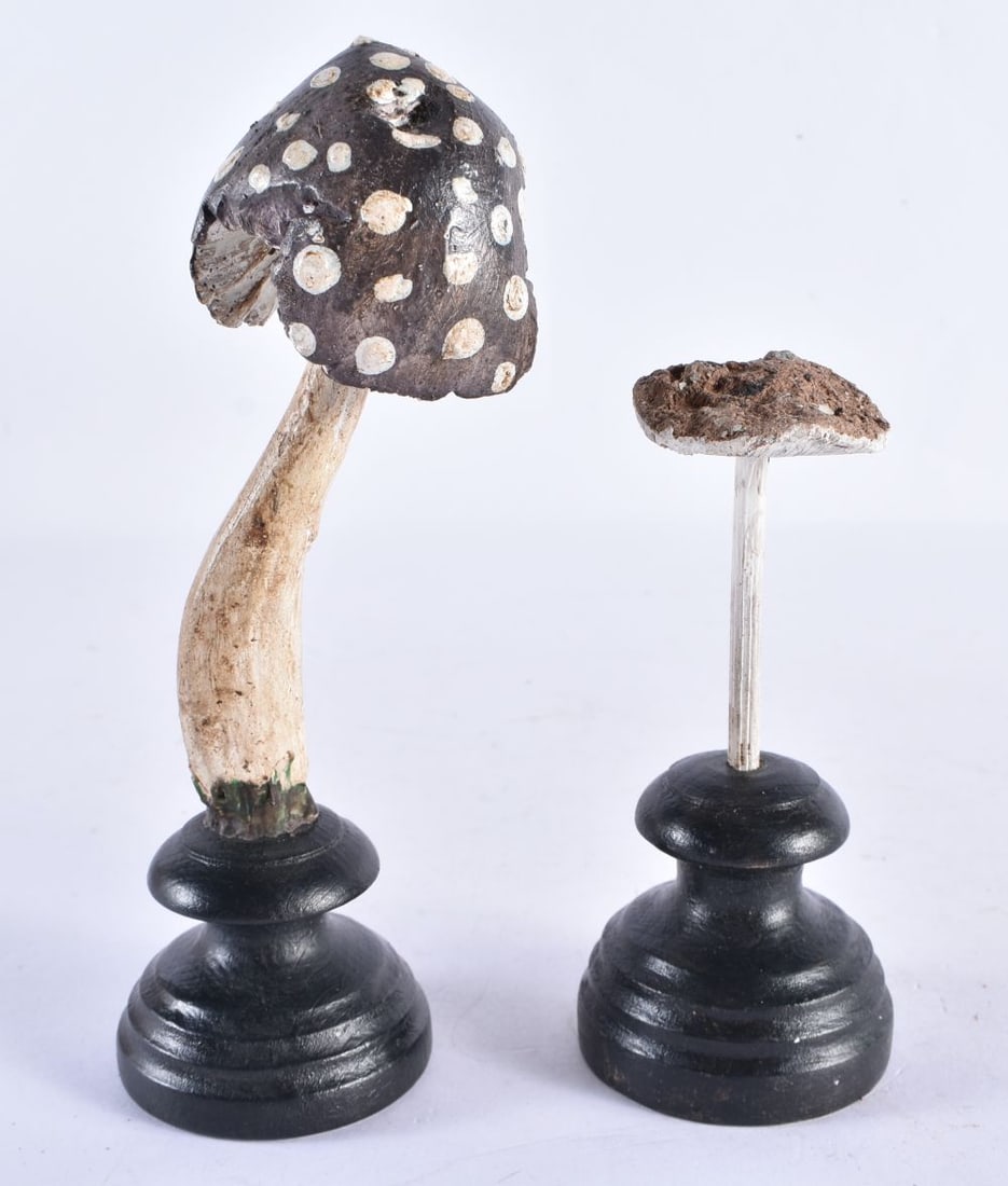 TWO FOLK ART CARVED WOOD MUSHROOM SPECIMANS. 12 cm high. (2) (1 of 6)