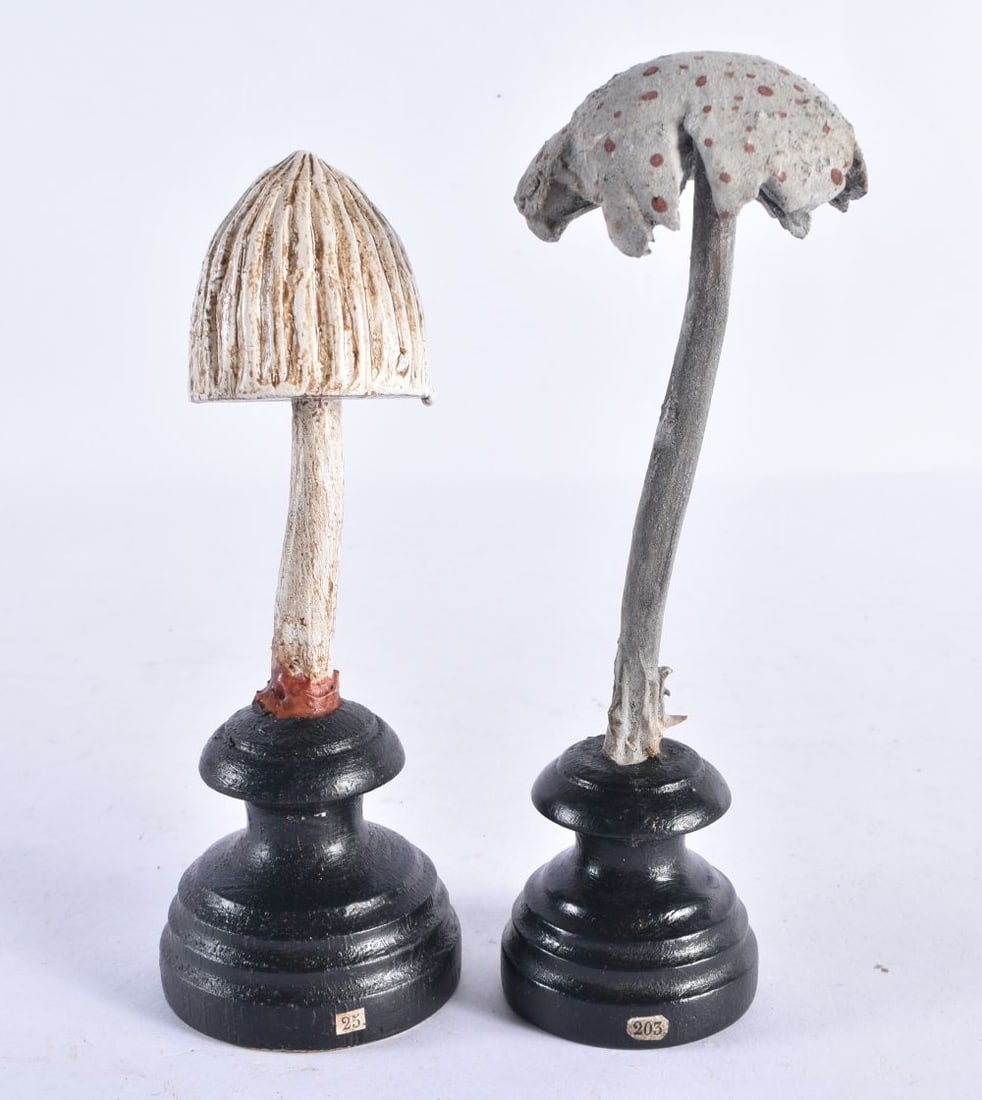 TWO FOLK ART CARVED WOOD MUSHROOM SPECIMANS. 14 cm high. (2) (1 of 5)