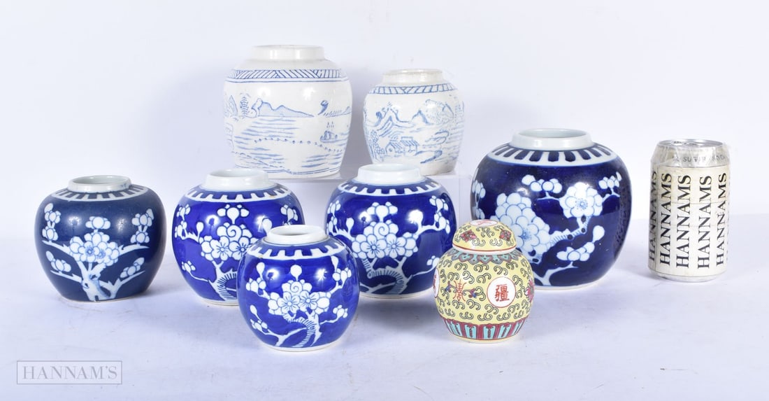 A collection of Chinese porcelain ginger jars 14 cm (8): A collection of Chinese porcelain ginger jars 14 cm (8)