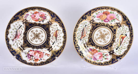 A PAIR OF EARLY 19TH CENTURY COALPORT PORCELAIN BIRD AND FLOWER PLATES. 23 cm wide.: A PAIR OF EARLY 19TH CENTURY COALPORT PORCELAIN BIRD AND FLOWER PLATES. 23 cm wide.