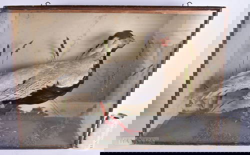 A LARGE VICTORIAN/EDWARDIAN W STEVENSON TAXIDERMY BIRD DISPLAY. 68 cm x 48 cm.: A LARGE VICTORIAN/EDWARDIAN W STEVENSON TAXIDERMY BIRD DISPLAY. 68 cm x 48 cm.
