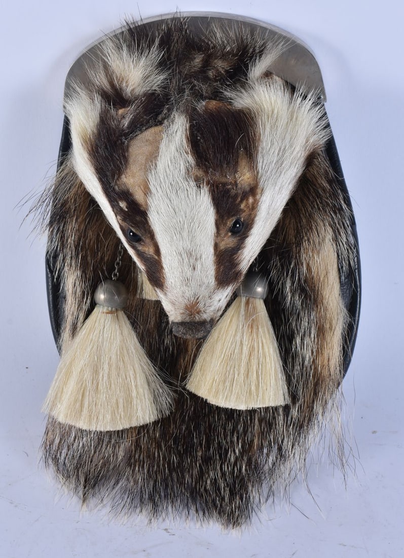 AN UNUSUAL SCOTTISH BADGER SPORRAN. 29 cm x 15 cm. (1 of 5)