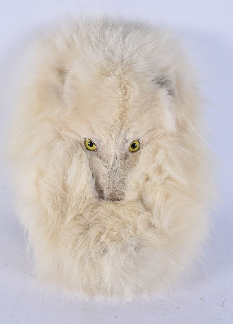 AN UNUSUAL SCOTTISH ARCTIC FOX SPORRAN. 33 cm x 20 cm.: AN UNUSUAL SCOTTISH ARCTIC FOX SPORRAN. 33 cm x 20 cm.