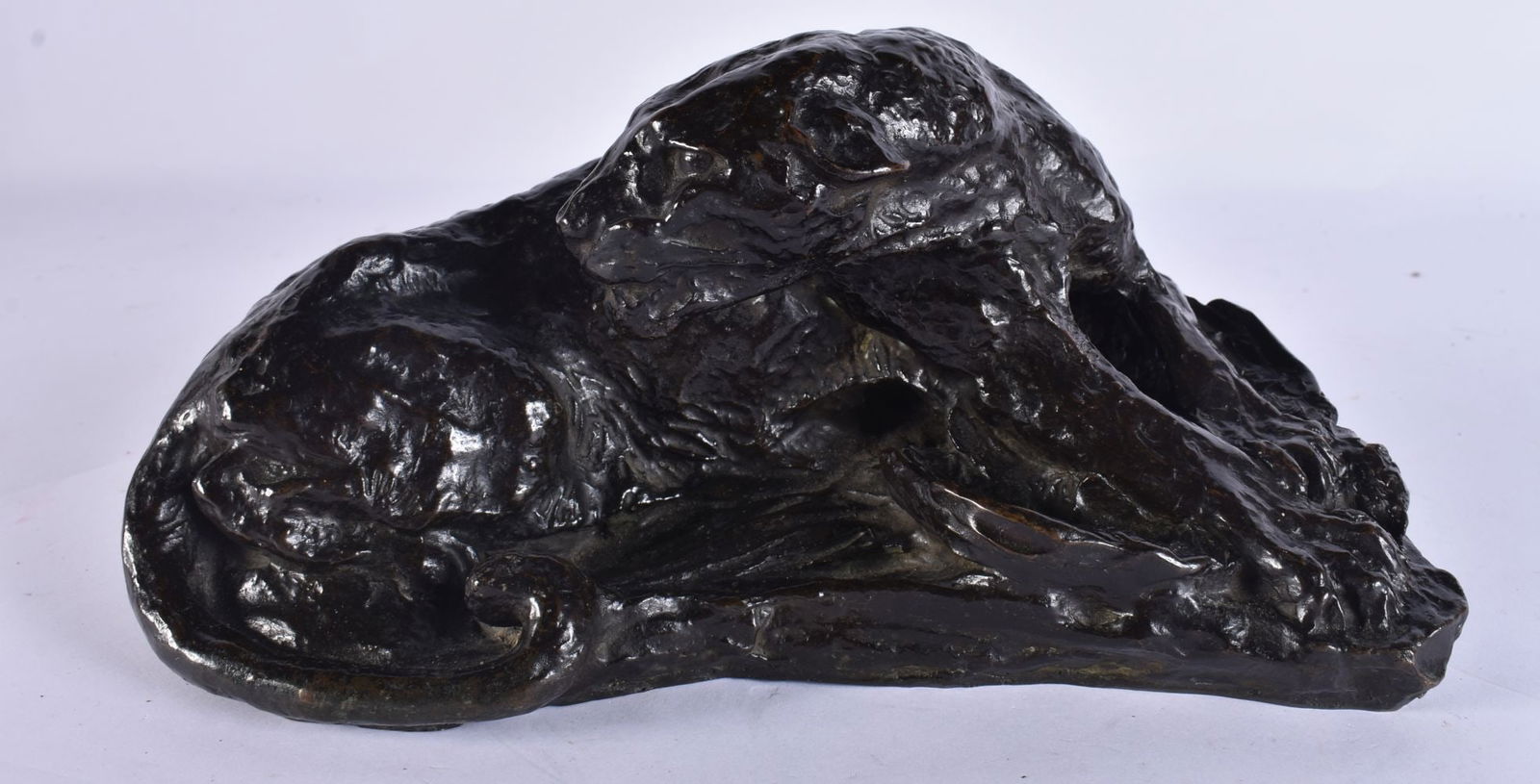 Attributed to Auguste Rodin (1840-1917) Bronze, Lioness, Possibly a studio model. 22 cm x 12 cm x 10: Attributed to Auguste Rodin (1840-1917) Bronze, Lioness, Possibly a studio model. 22 cm x 12 cm x 10 cm.