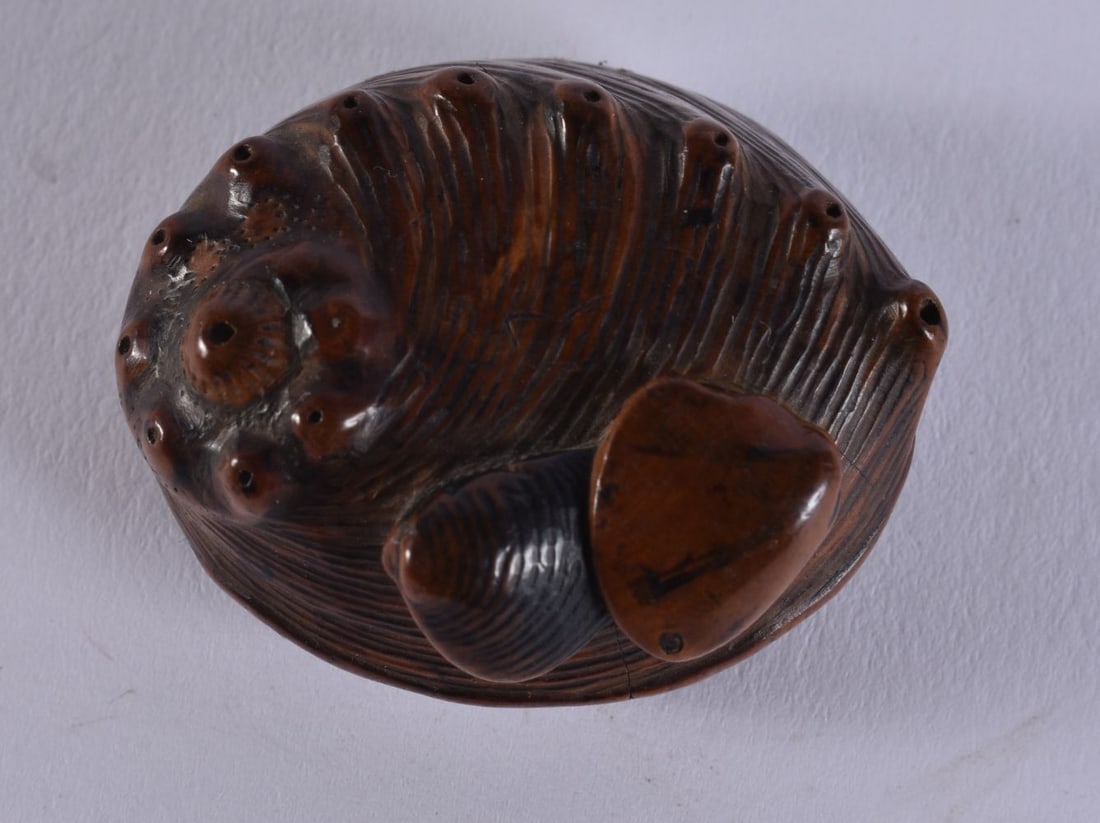 A FINE 19TH CENTURY JAPANESE MEIJI PERIOD CARVED WOOD SHELL NETSUKE. 4.5 cm x 3.5 cm. (1 of 5)