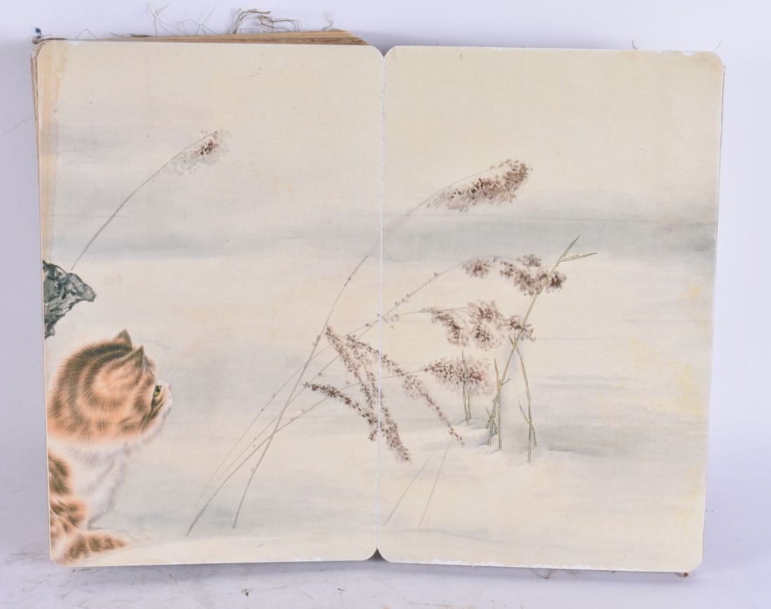 A CHINESE BOOK OF CATS. Each page open 34 cm x 28 cm.: A CHINESE BOOK OF CATS. Each page open 34 cm x 28 cm.