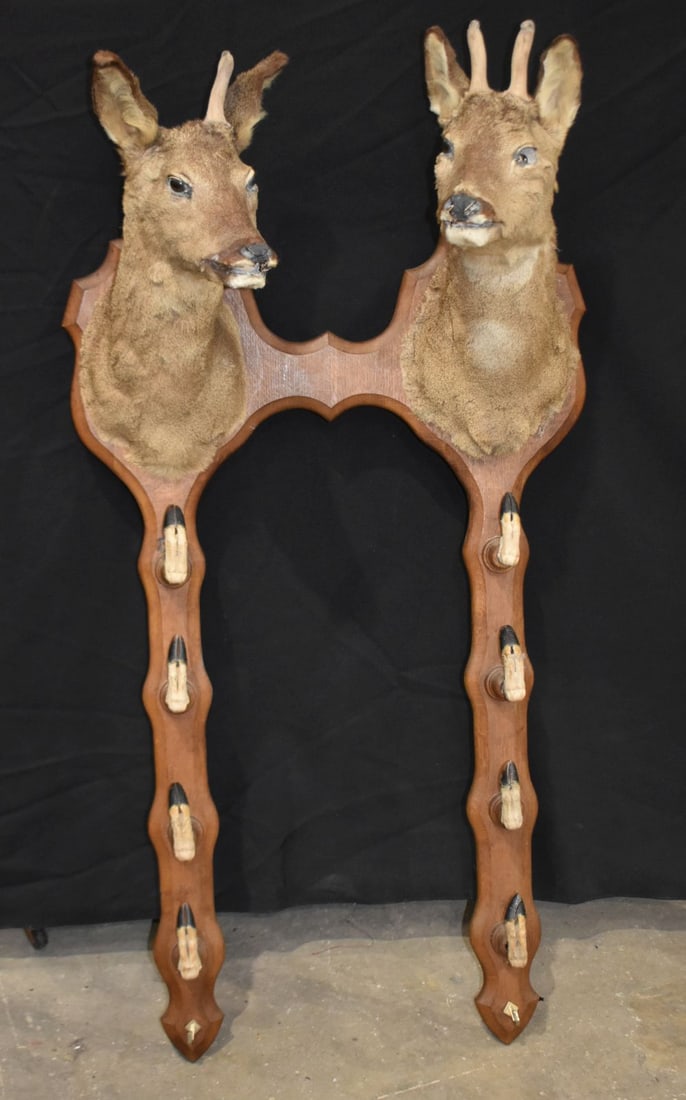 A pair of taxidermy Roe deer mounted to a large wooden plaque with the hooves formed as coat hangers (1 of 3)