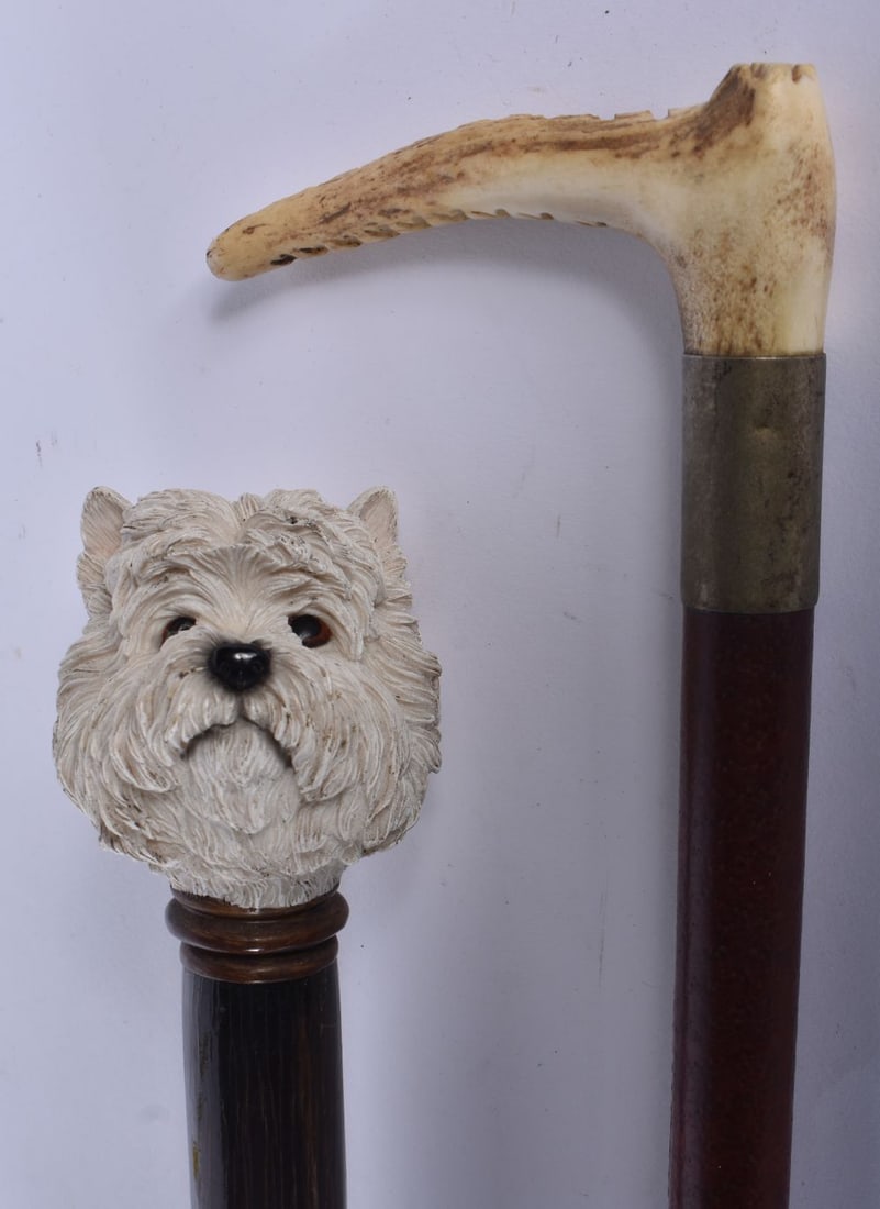 A West Highland Terrier handled walking cane together with a riding crop 92cm (2) (1 of 4)
