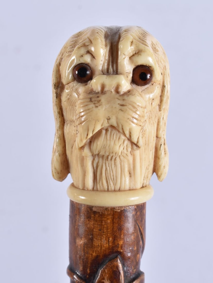 A VICTORIAN CARVED DOG HEAD WOOD WALKING CANE. 83 cm long. (1 of 5)