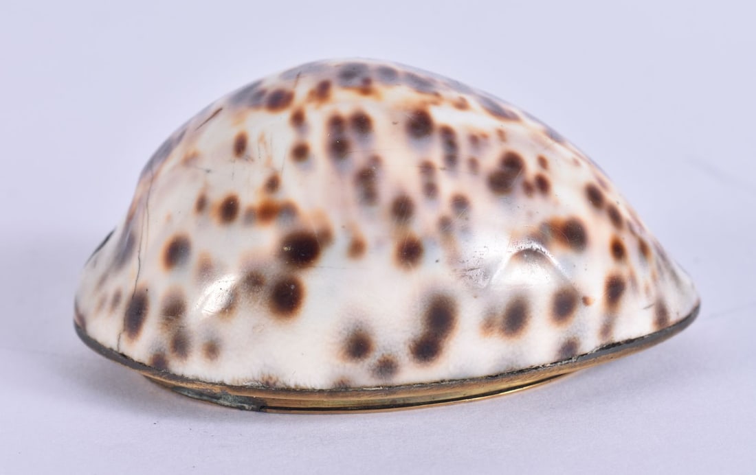 A GEORG III SHELL SNUFF BOX. 6 cm x 4 cm.: A GEORG III SHELL SNUFF BOX. 6 cm x 4 cm.